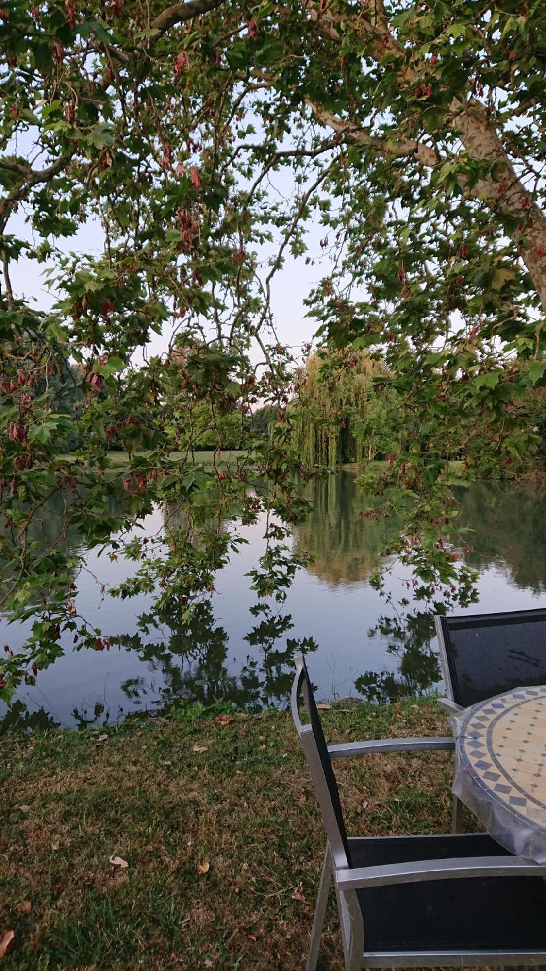Moulin Du Fief Gentil Bed & Breakfast Blere Екстериор снимка